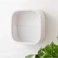 Bloom Wall Planter