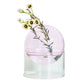 Colored Glass Orb Hydroponic Vase