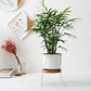 Geometric Ceramic Planter Set with Bamboo Stand and Iron Frame