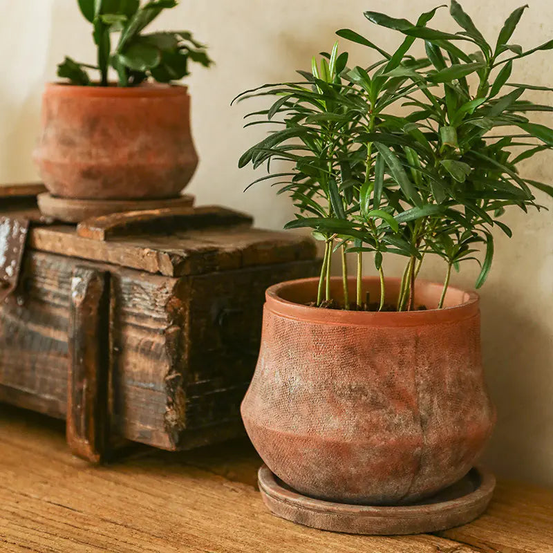 Vintage Red Terracotta Planter