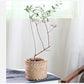 Retro Woven Bamboo-Style Cement Planter