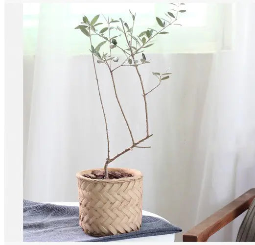 Retro Woven Bamboo-Style Cement Planter