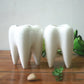 Tooth-Shaped Ceramic Planter Pot