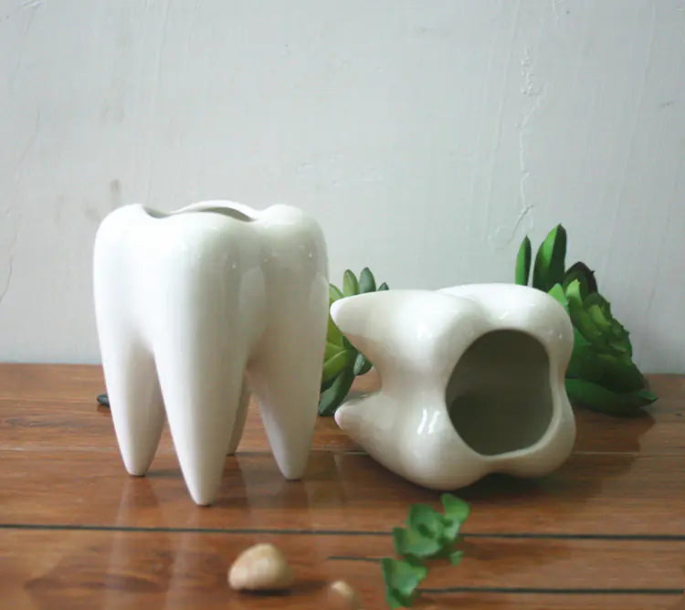 Tooth-Shaped Ceramic Planter Pot