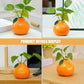 Orange Ceramic Vase
