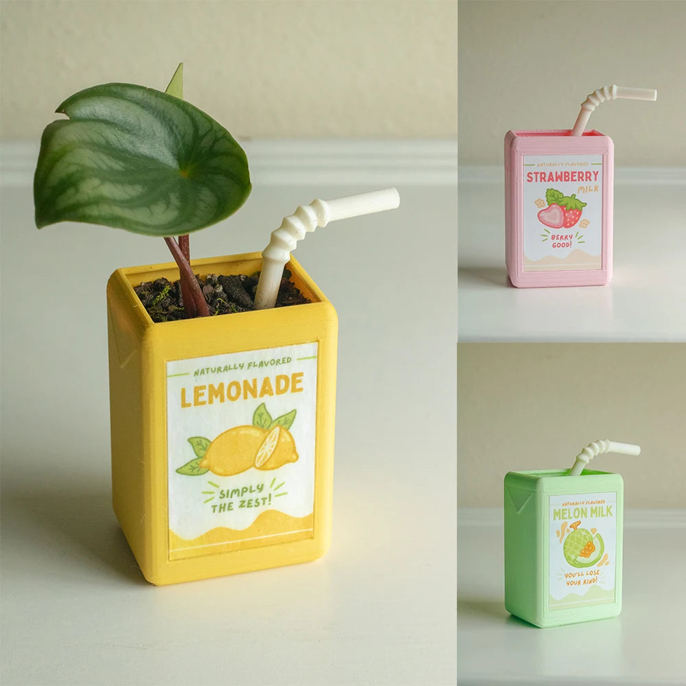 Vintage Juice Box Planters