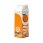 Juice Carton Vases