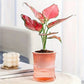 Double Layer Plastic Self Watering Planter