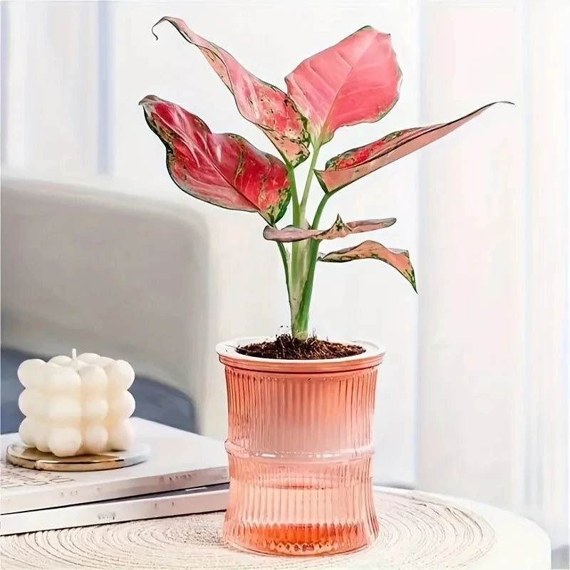 Double Layer Plastic Self Watering Planter