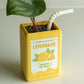 Vintage Juice Box Planters