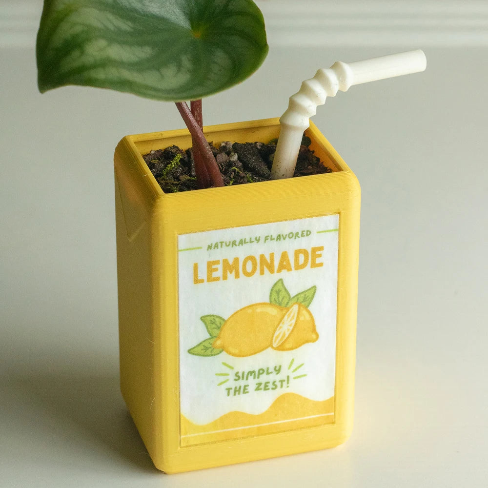 Vintage Juice Box Planters
