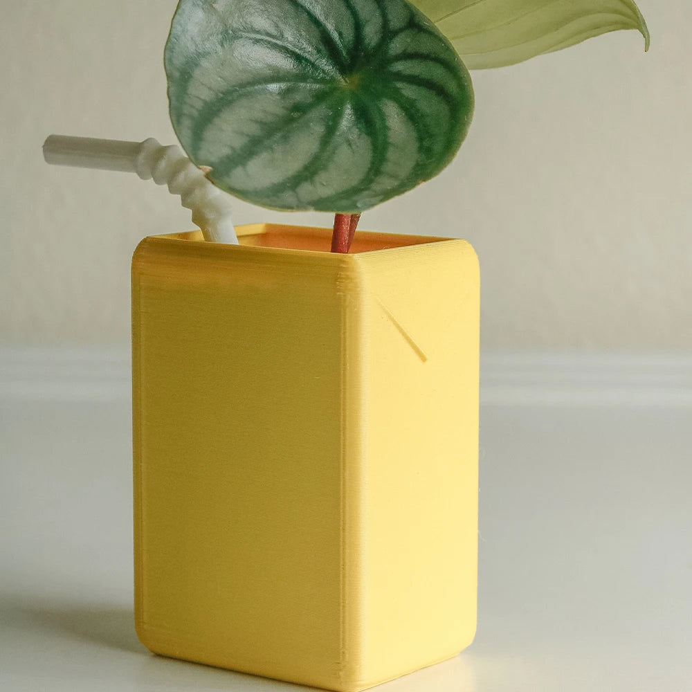 Vintage Juice Box Planters