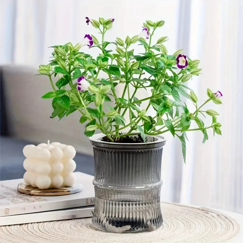 Double Layer Plastic Self Watering Planter