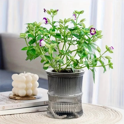 Double Layer Plastic Self Watering Planter