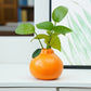 Orange Ceramic Vase