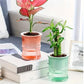 Double Layer Plastic Self Watering Planter