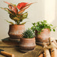 Vintage Red Terracotta Planter