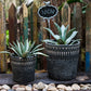 African Element Vintage Black Ceramic Planter