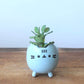 WhimsyCat Ceramic Planters