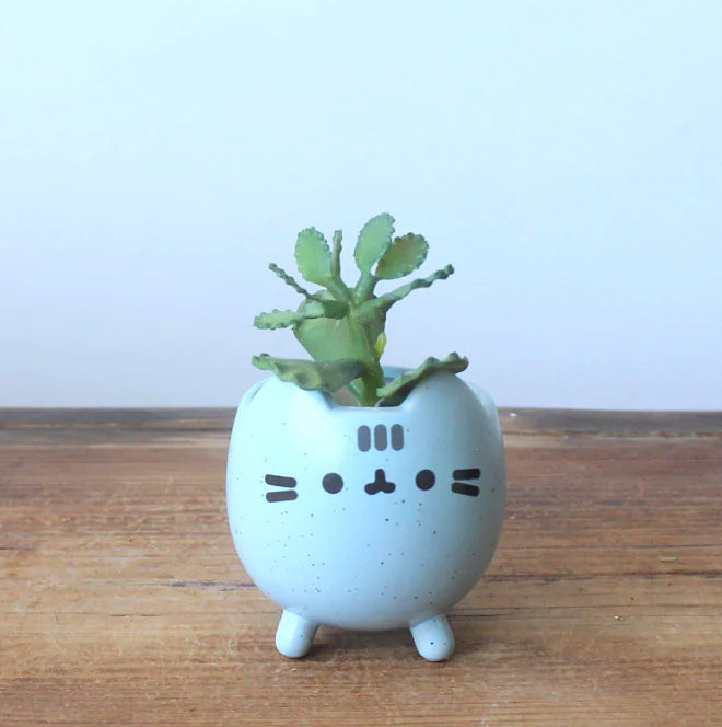 WhimsyCat Ceramic Planters