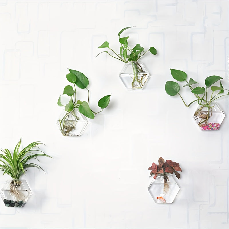 Geometric Hydroponic Glass Planter
