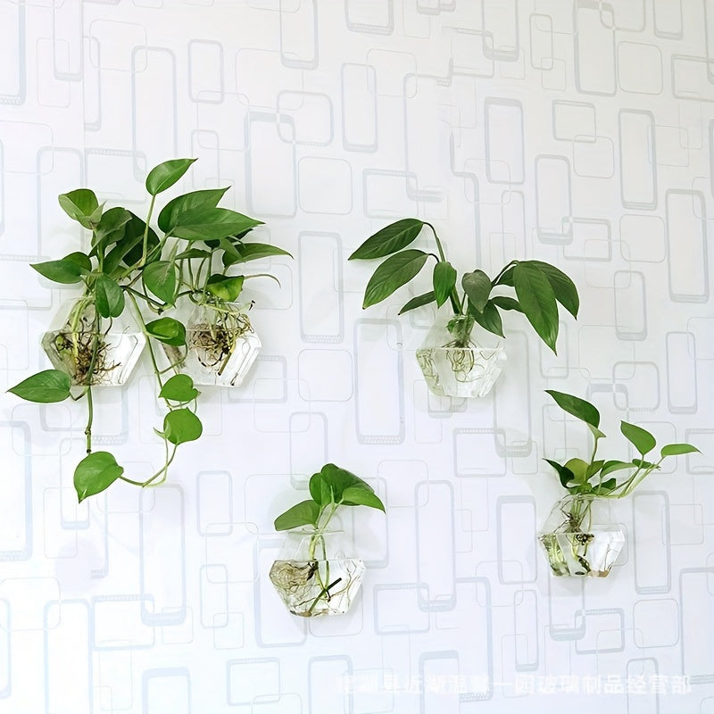 Geometric Hydroponic Glass Planter