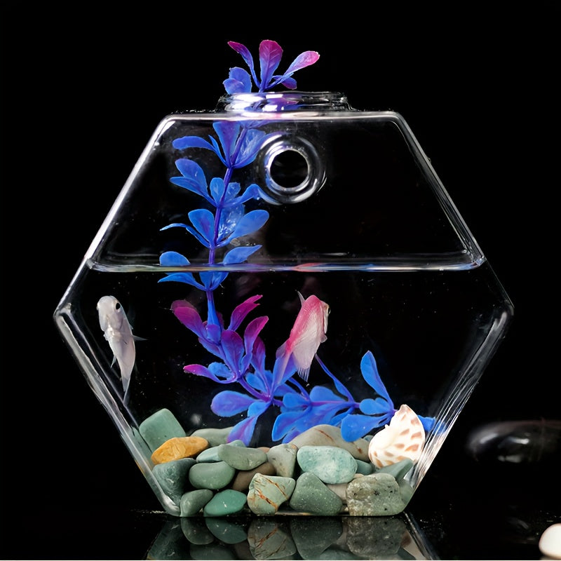 Geometric Hydroponic Glass Planter