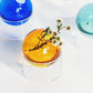 Colored Glass Orb Hydroponic Vase