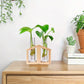 Plant Propagation Station