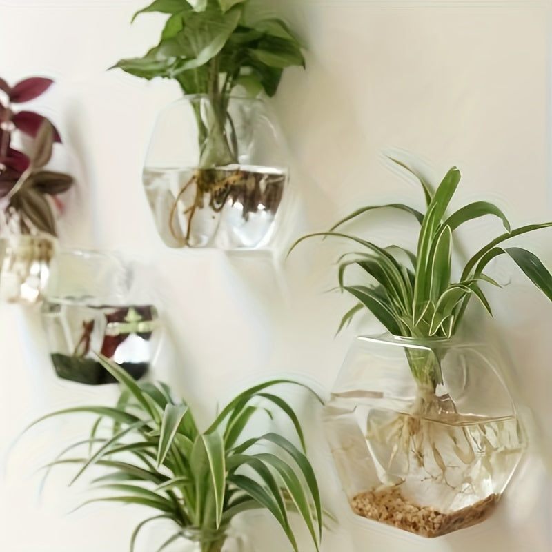 Geometric Hydroponic Glass Planter