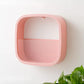Bloom Wall Planter