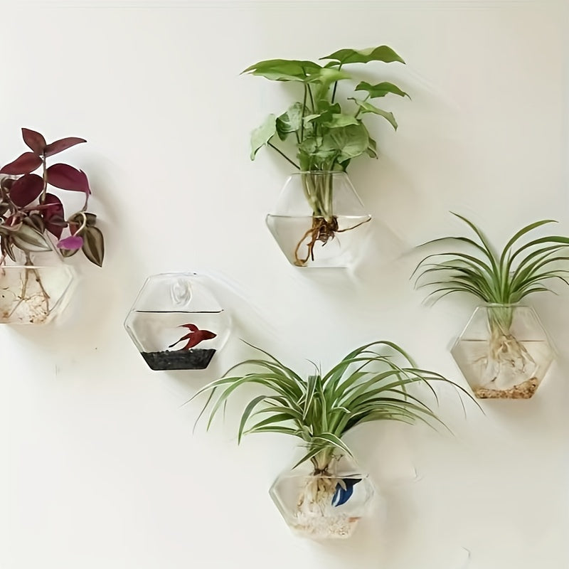 Geometric Hydroponic Glass Planter
