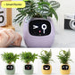 Plant Buddy - Smart Planter