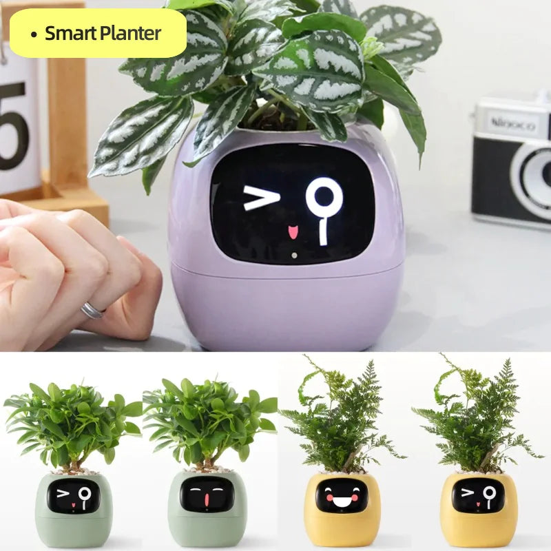 Plant Buddy - Smart Planter