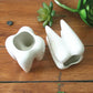 Tooth-Shaped Ceramic Planter Pot