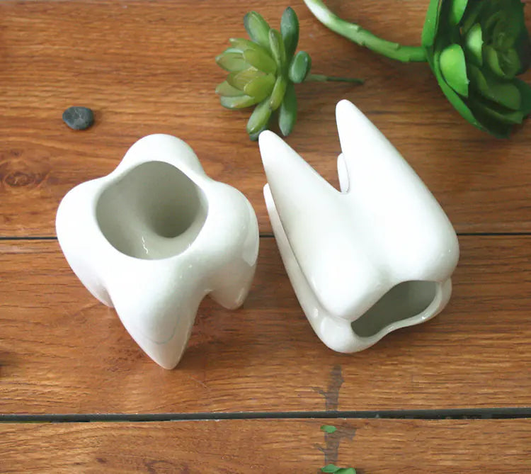 Tooth-Shaped Ceramic Planter Pot