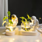 Astronaut/Diver Buddy Hydroponic Vase