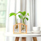 Plant Propagation Station