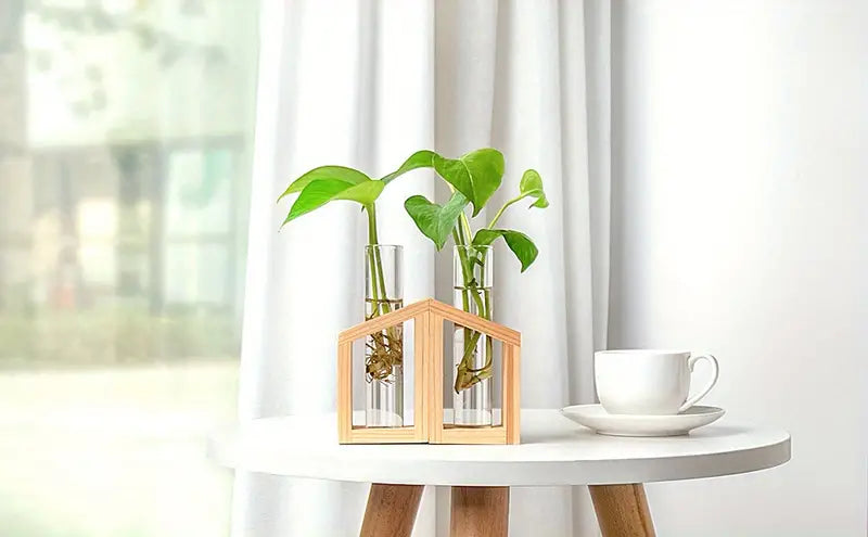 Plant Propagation Station