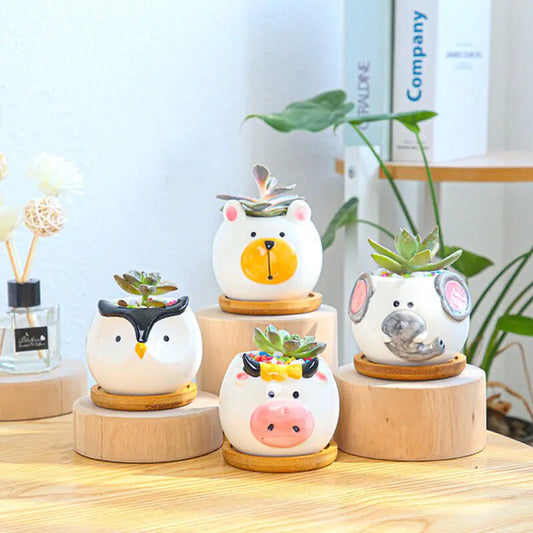 Cartoon Animal Ceramic Planter