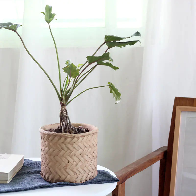 Retro Woven Bamboo-Style Cement Planter