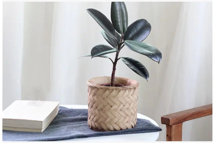 Retro Woven Bamboo-Style Cement Planter
