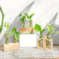 Plant Propagation Station