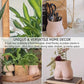 Female Form Ceramic Planter