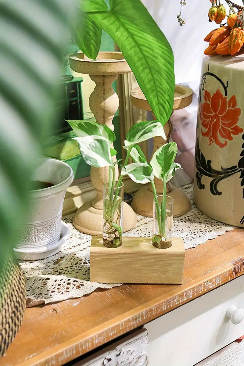 Plant Propagation Station