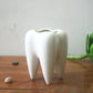 Tooth-Shaped Ceramic Planter Pot