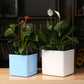 Water-Absorbing Planter