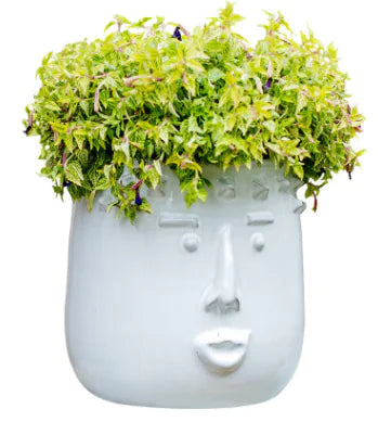 Handcrafted Ceramic Face Planter