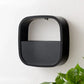 Bloom Wall Planter