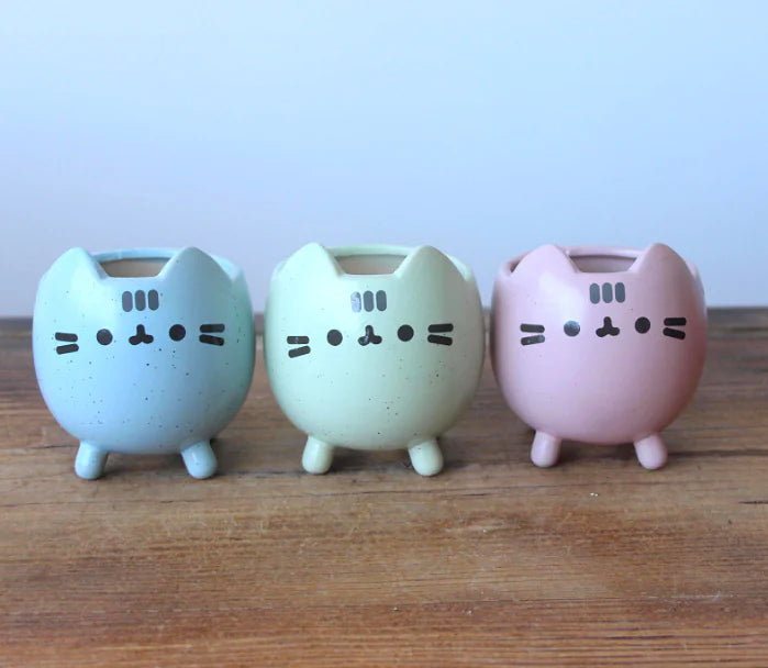 WhimsyCat Ceramic Planters